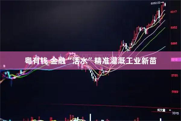 粤有钱 金融“活水”精准灌溉工业新苗