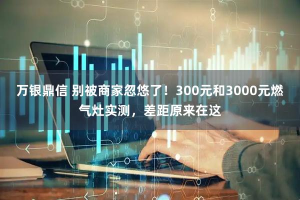 万银鼎信 别被商家忽悠了！300元和3000元燃气灶实测，差距原来在这