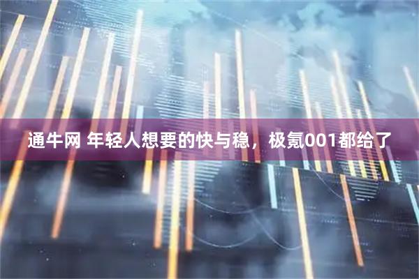 通牛网 年轻人想要的快与稳，极氪001都给了