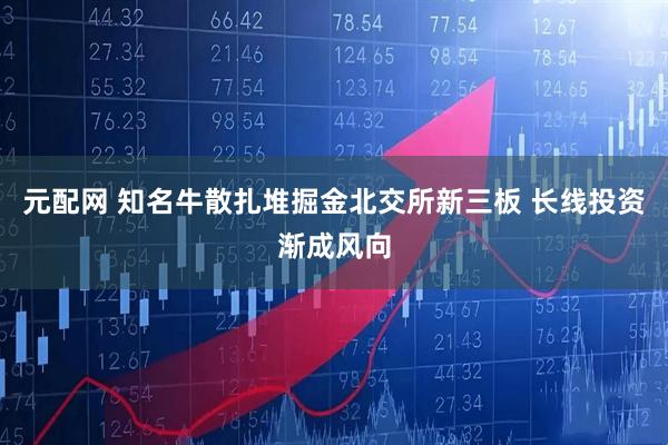 元配网 知名牛散扎堆掘金北交所新三板 长线投资渐成风向