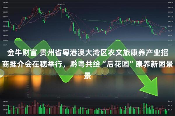 金牛财富 贵州省粤港澳大湾区农文旅康养产业招商推介会在穗举行，黔粤共绘“后花园”康养新图景